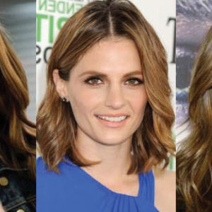 Stana Katic Plastic Surgery